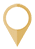 Gold Pin